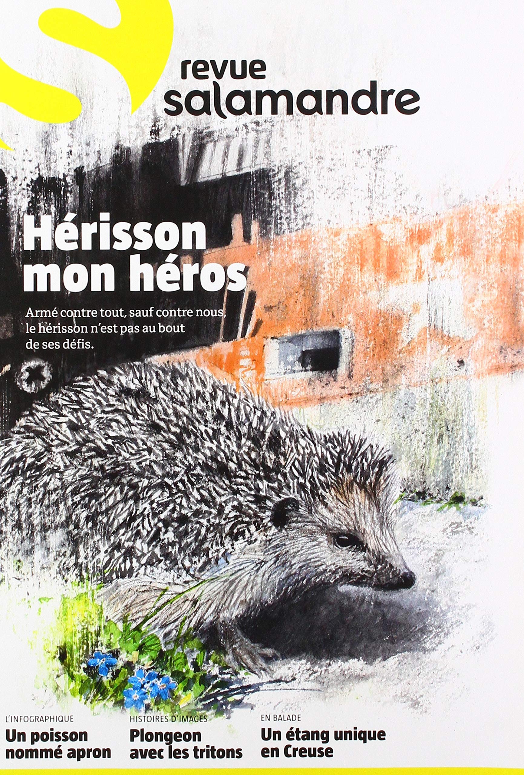 N°257 La salamandre: Avril mai 2020 Hérisson mon héros book