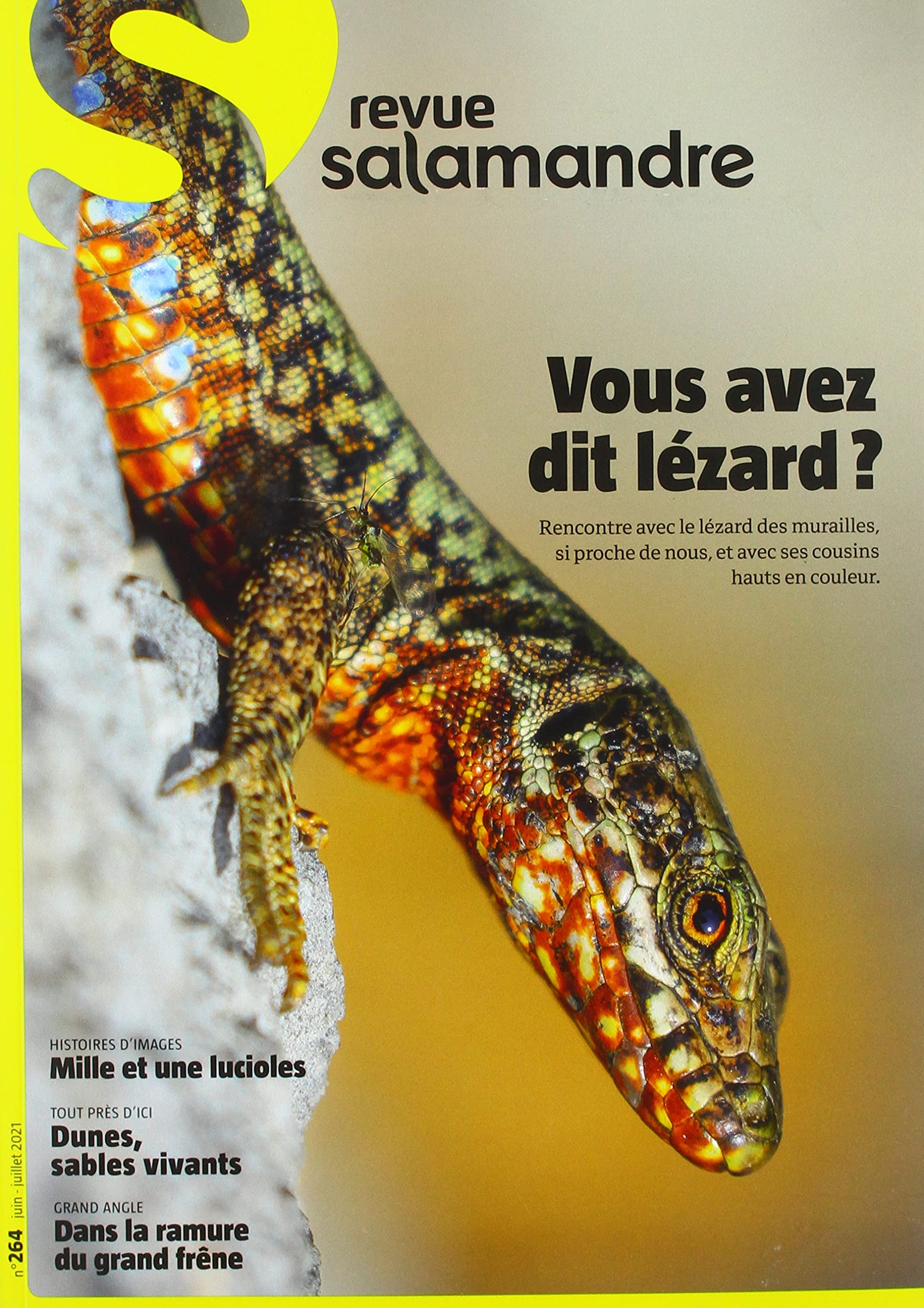 Revue N.264 La Salamandre - Lézard: Juin - Juillet 2021 Leisure, Home & Garden