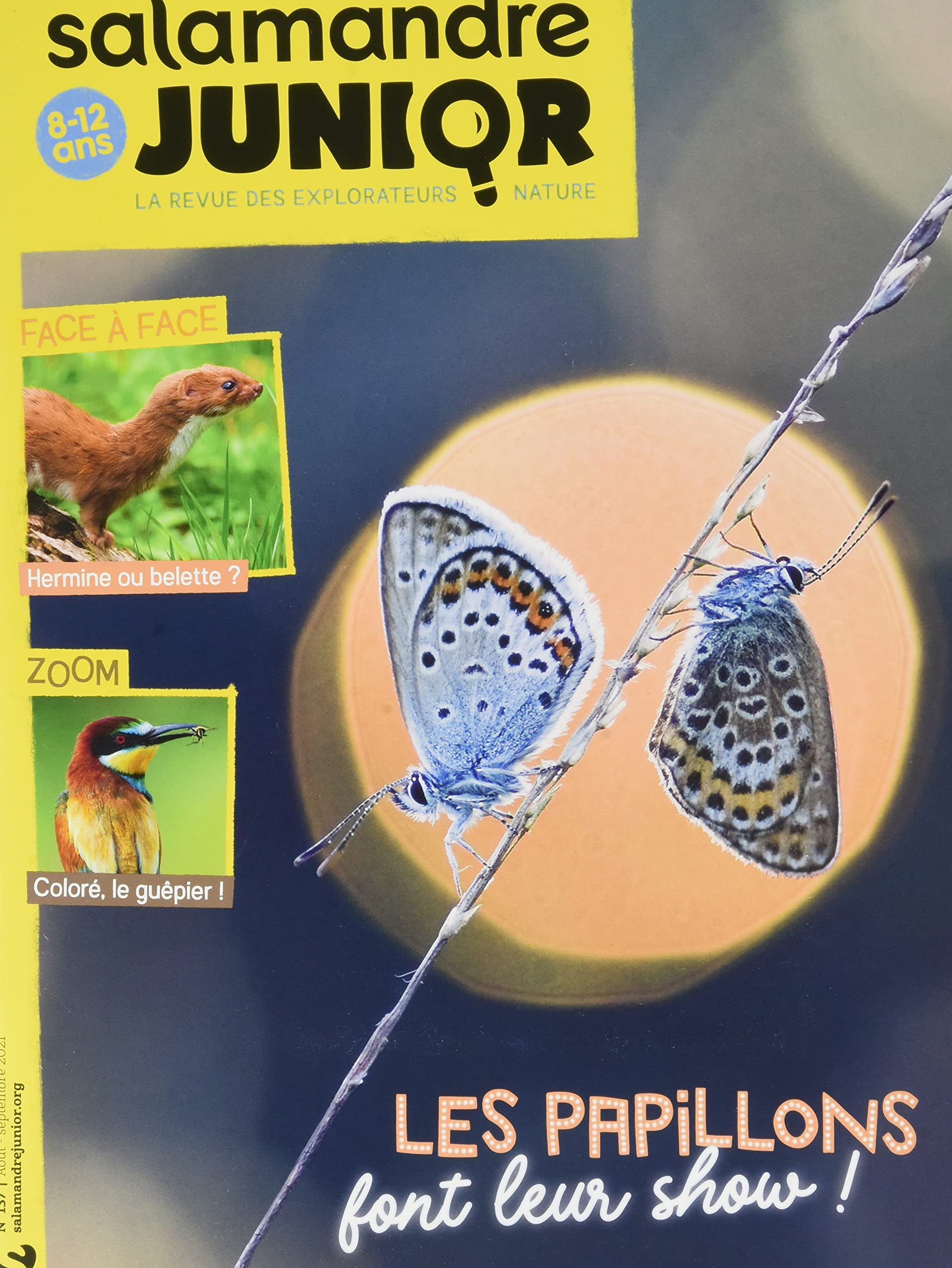 Salamandre junior n.137 - Papillons book