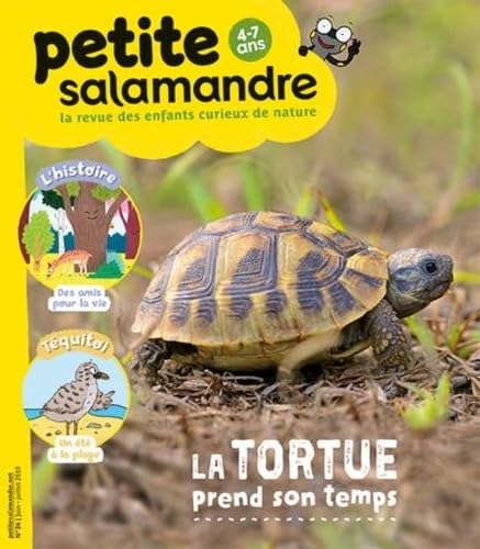 N°24 La petite salamandre: juin juillet 2019 Film, Art & Culture