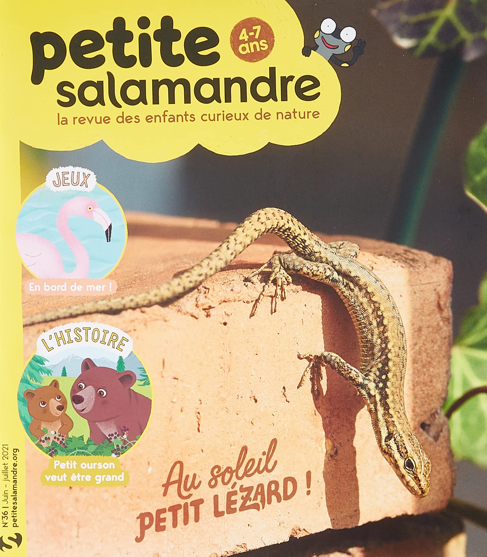 Petite Salamandre n.36 - Lézard: Juin - Juillet 2021 Film, Art & Culture