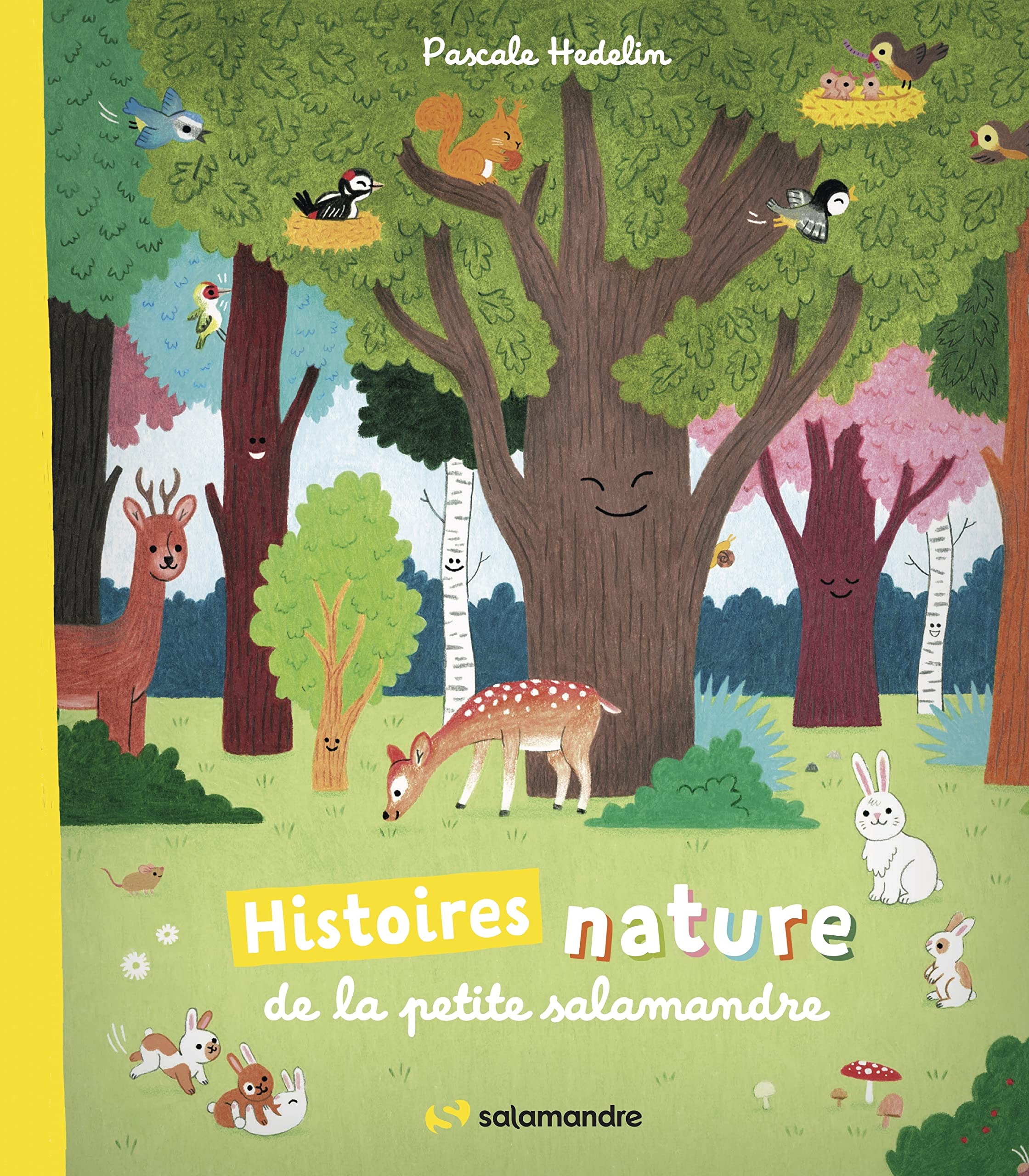 Histoires nature de la Petite Salamandre book