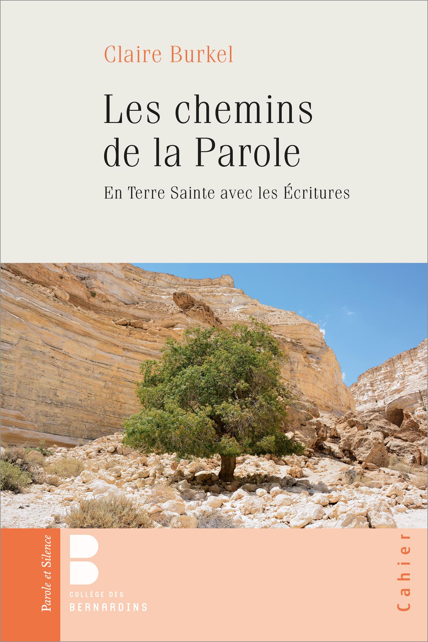 LES CHEMINS DE LA PAROLE: EN TERRE SAINTE AVEC LES ÉCRITURES book