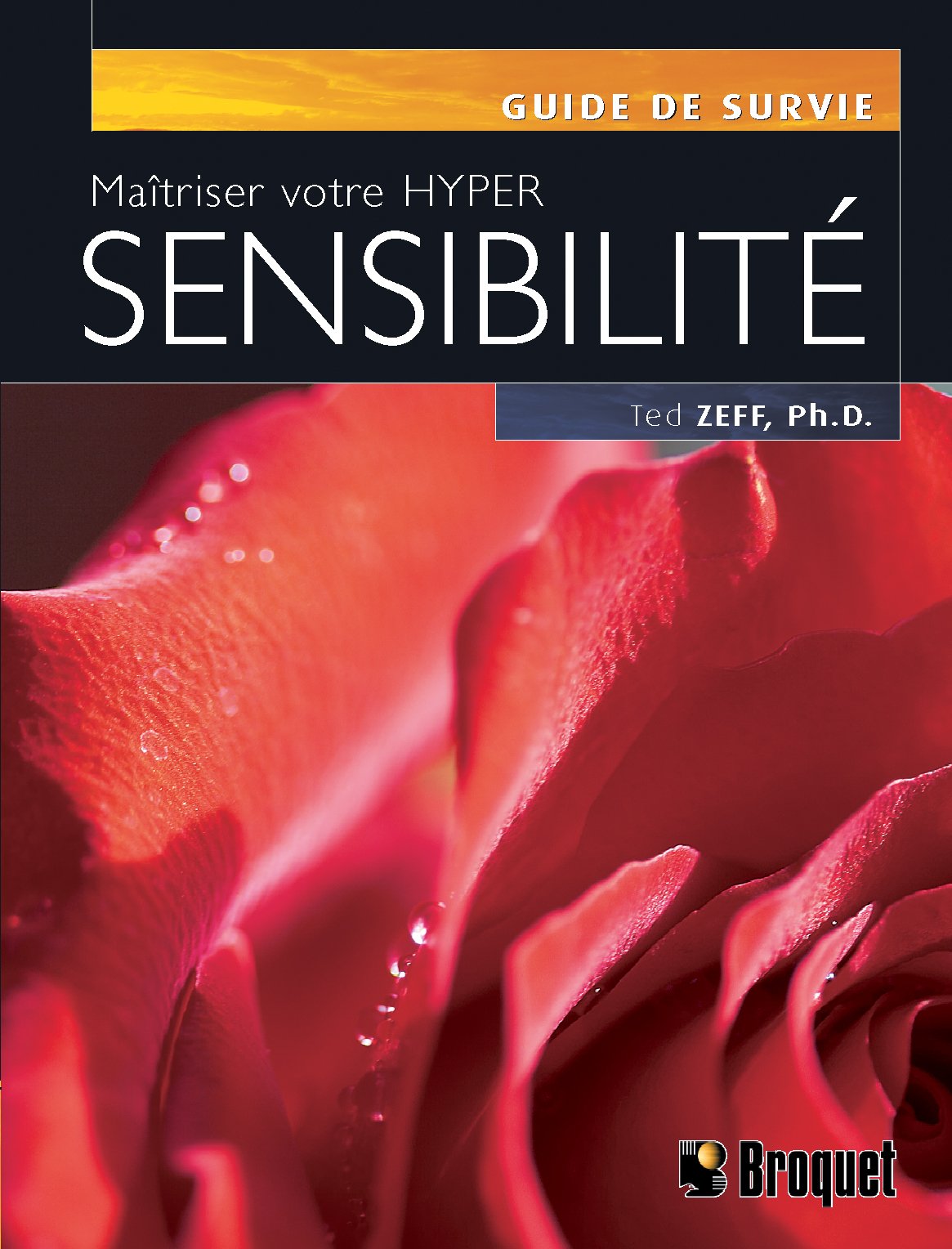 Maîtriser votre hyper-sensibilité Books