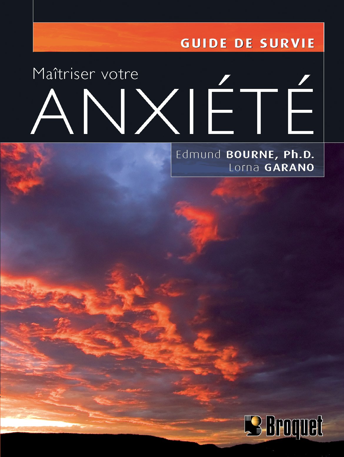 MAITRISER VOTRE ANXIETE Foreign Languages ​​& Dictionaries