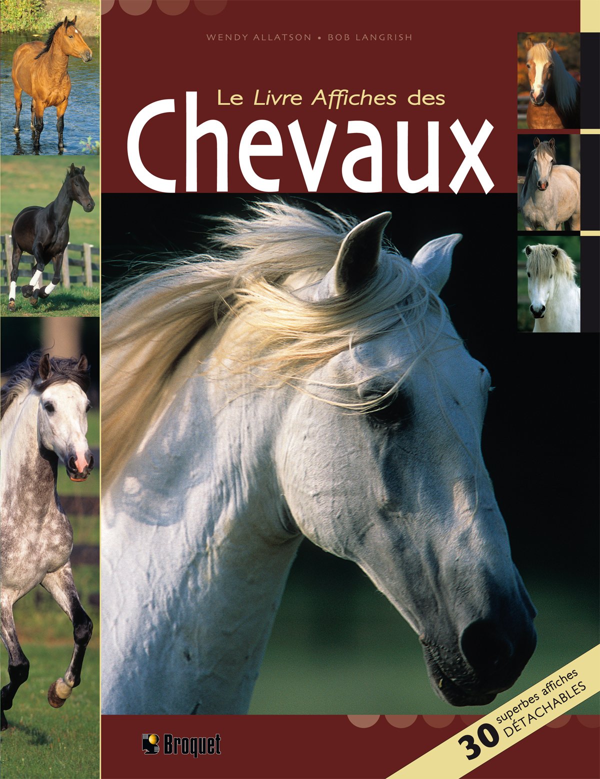Le Livre Affiches des Chevaux: 30 superbes affiches détachables book