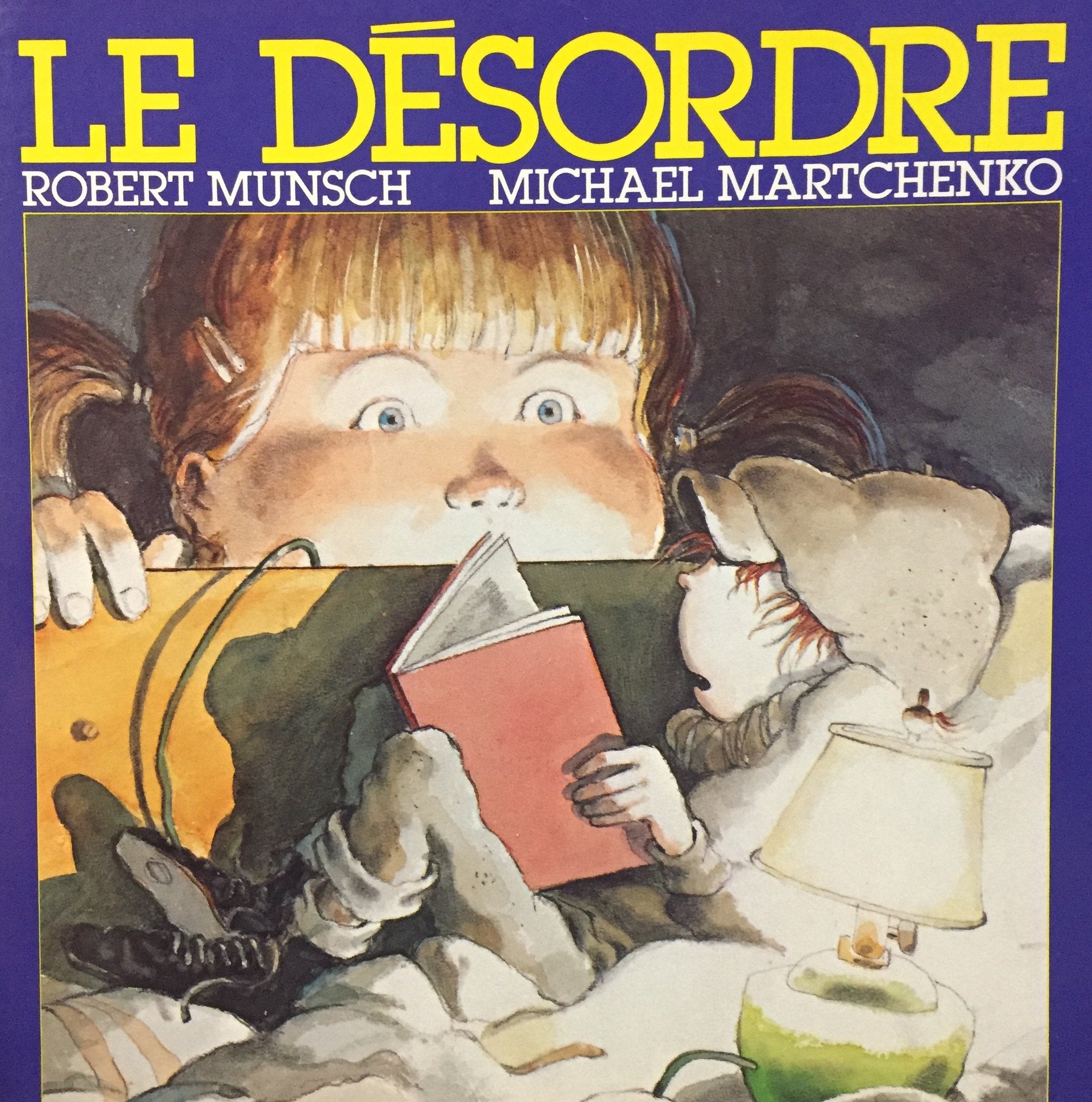 Le Desorder / the Boy in the Drawer book