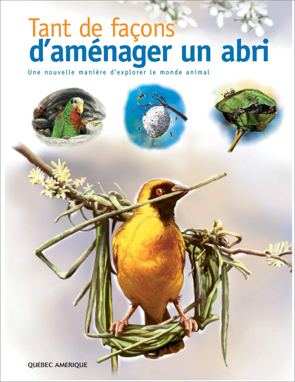 Tant de facons d'amenager un abri book