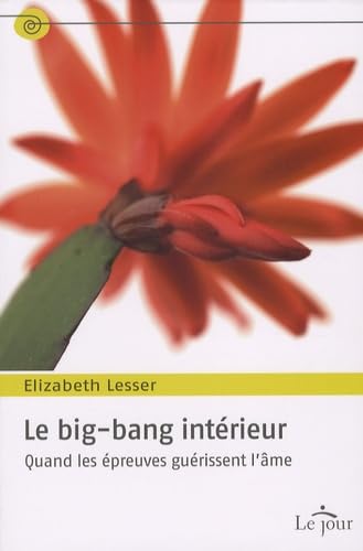 Le big-bang intérieur: Quand les épreuves guérissent l'âme Books