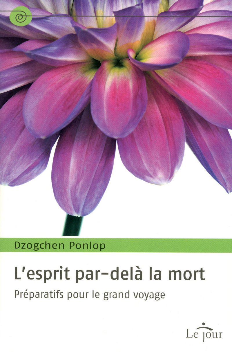 L'esprit par-delà la mort: Préparatifs pour le grand voyage Religion & Esotericism