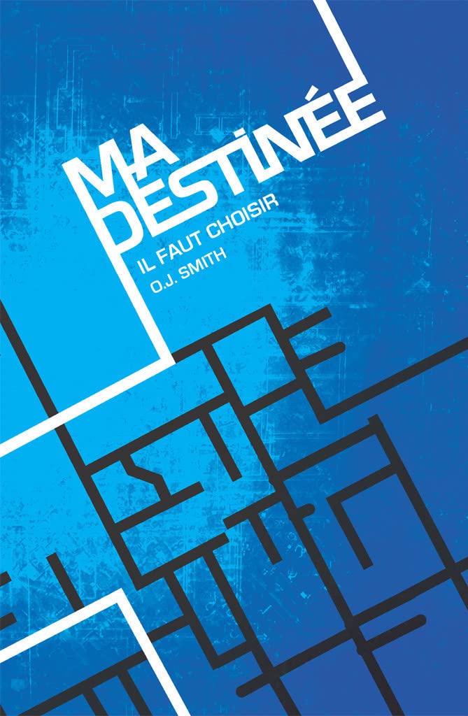 Ma destinée il faut choisir book