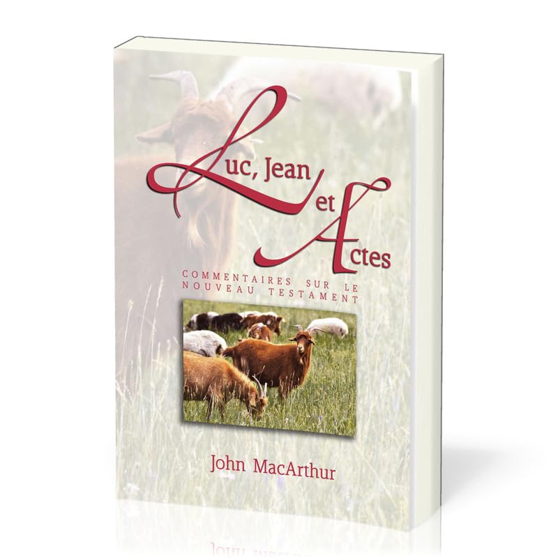 Luc, Jean et Actes: Commentaires sur le Nouveau Testament volume 2 Religion & Esotericism