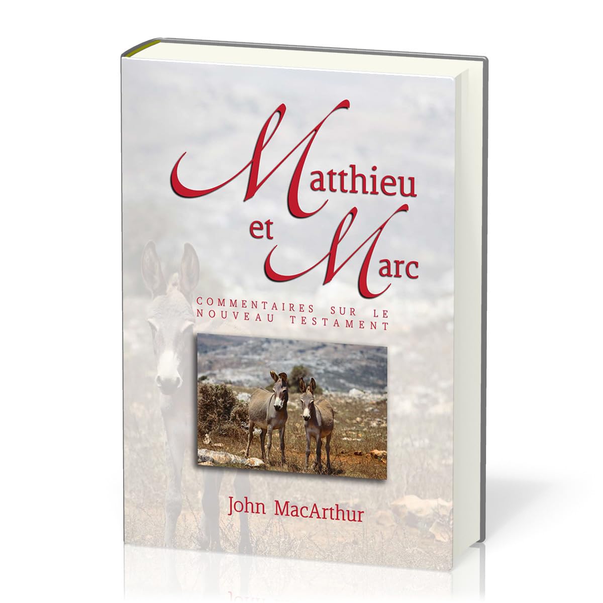 Matthieu et Marc: Commentaires sur le Nouveau Testament volume 1 book