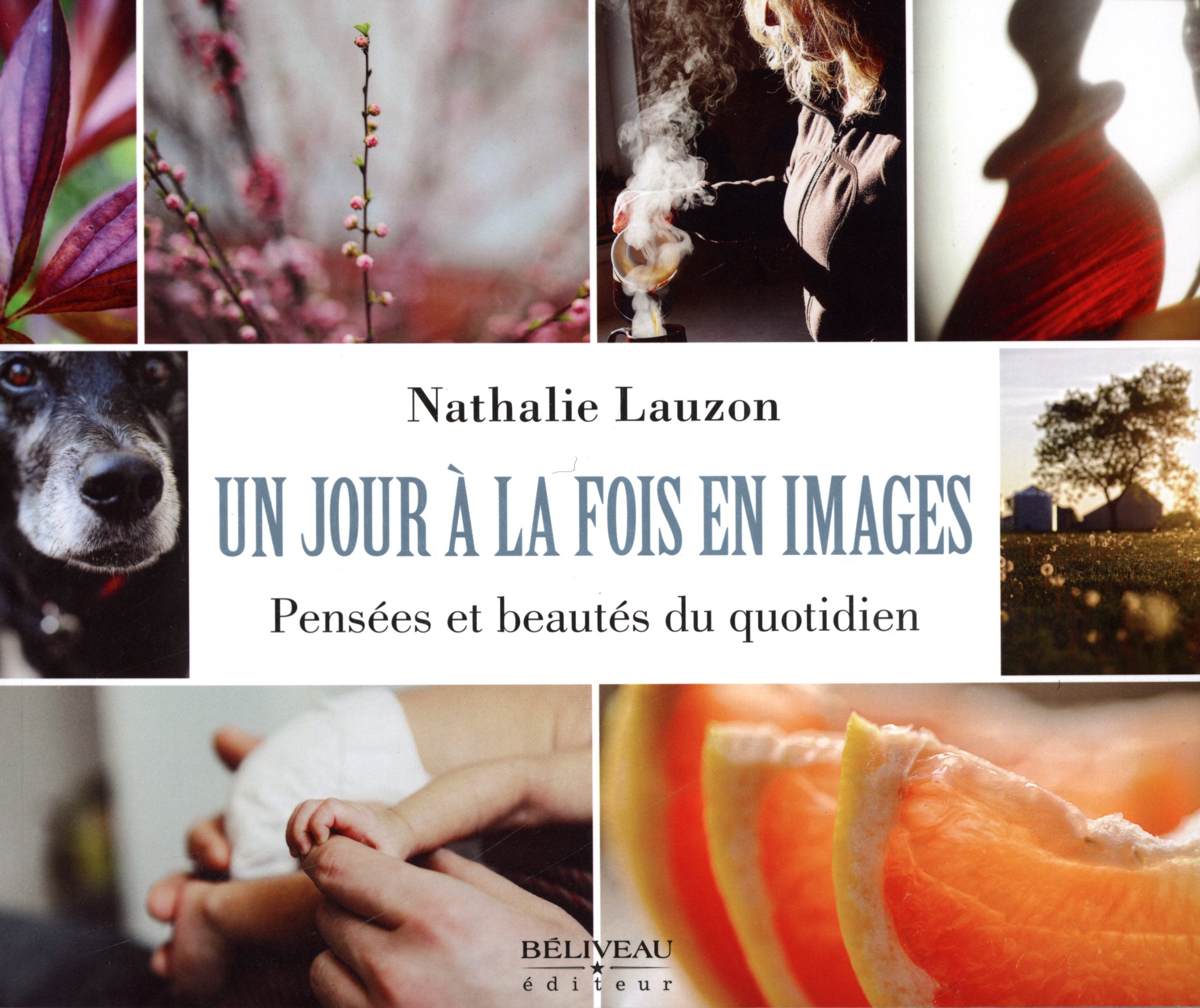 Un jour à la fois en images - Pensées et beautés du quotidien book