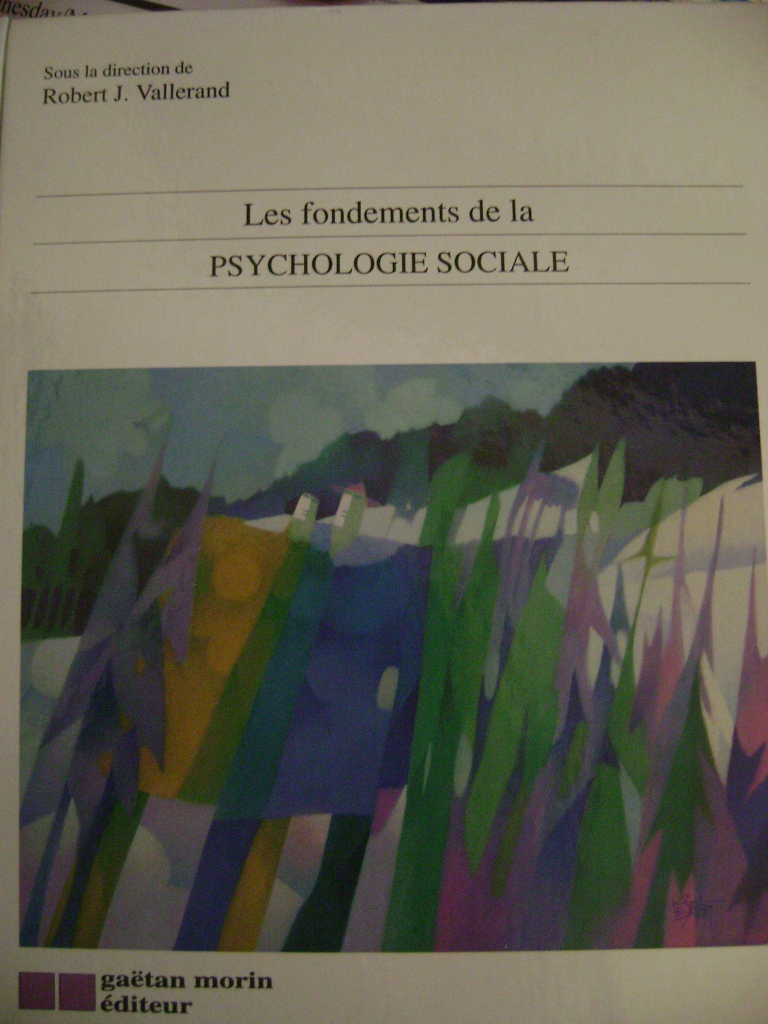Les Fondements De La Psychologie Sociale Psychology