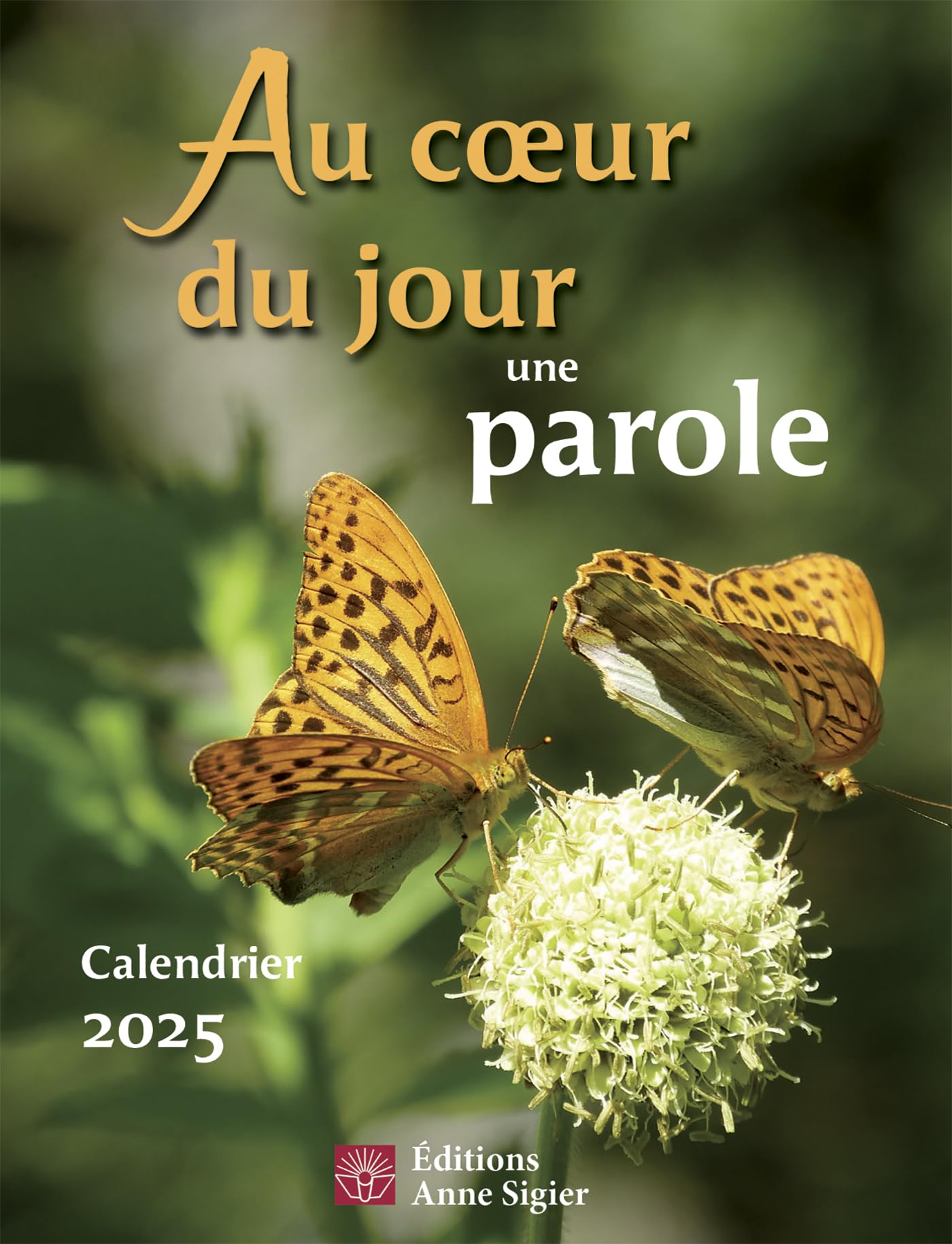 Au coeur du jour une parole - Calendrier 2025 book