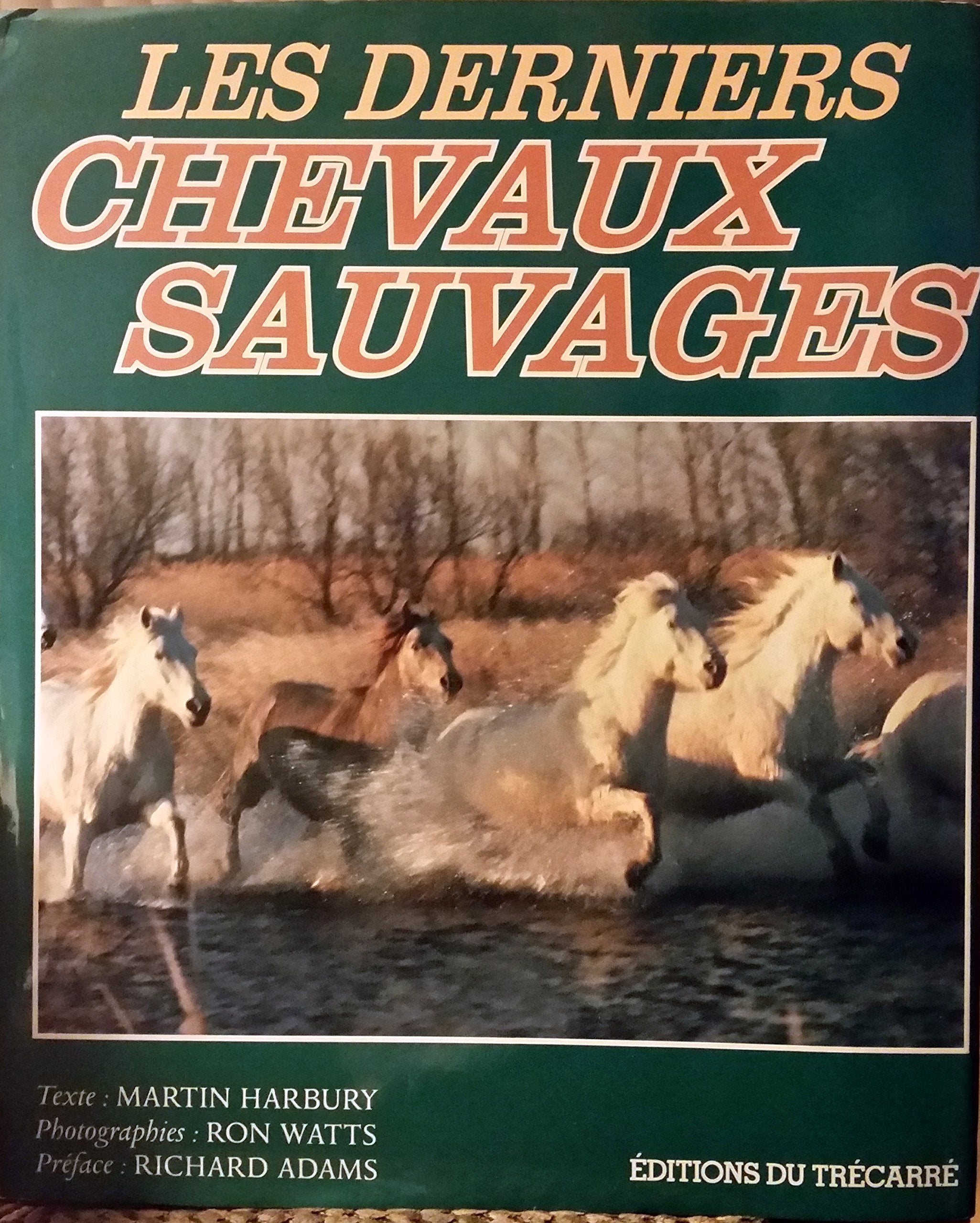 Les Derniers Chevaux Sauvages Leisure & Fun