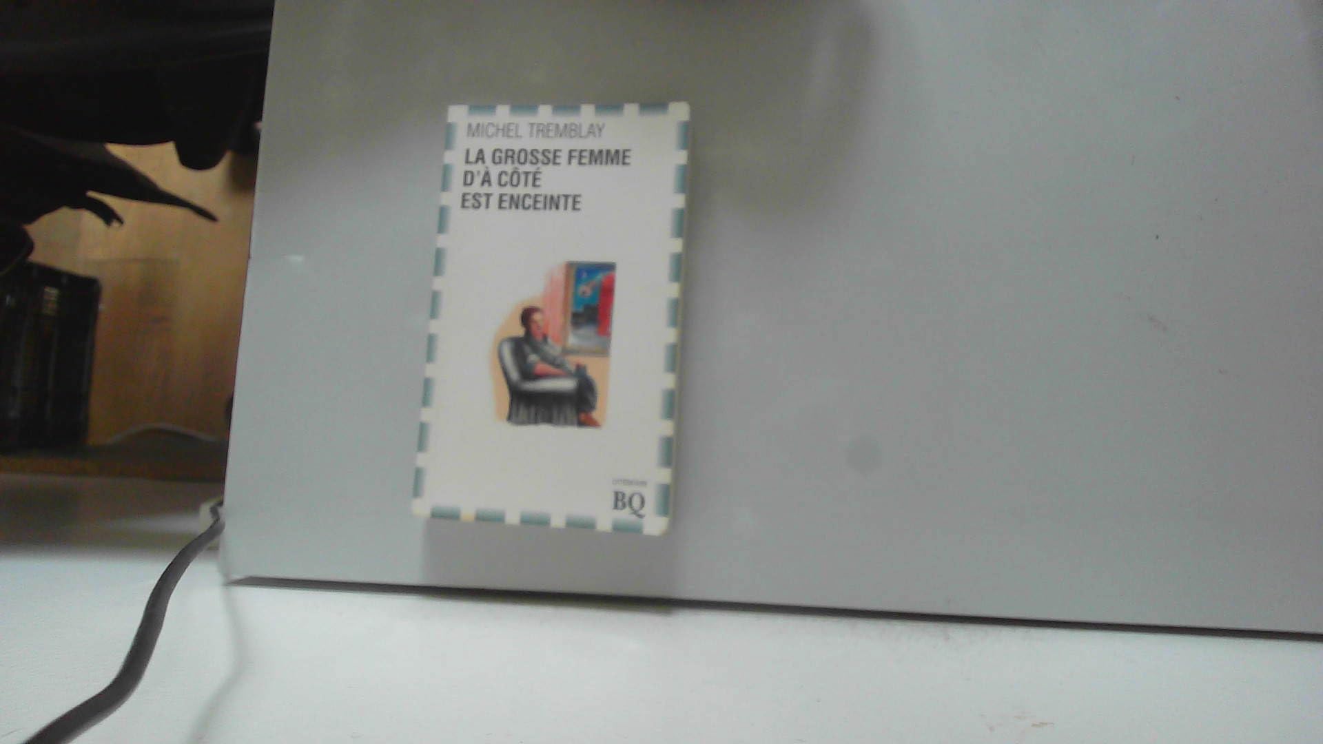 Grosse femme a cote enceinte (Bibliotheque Qu) Books