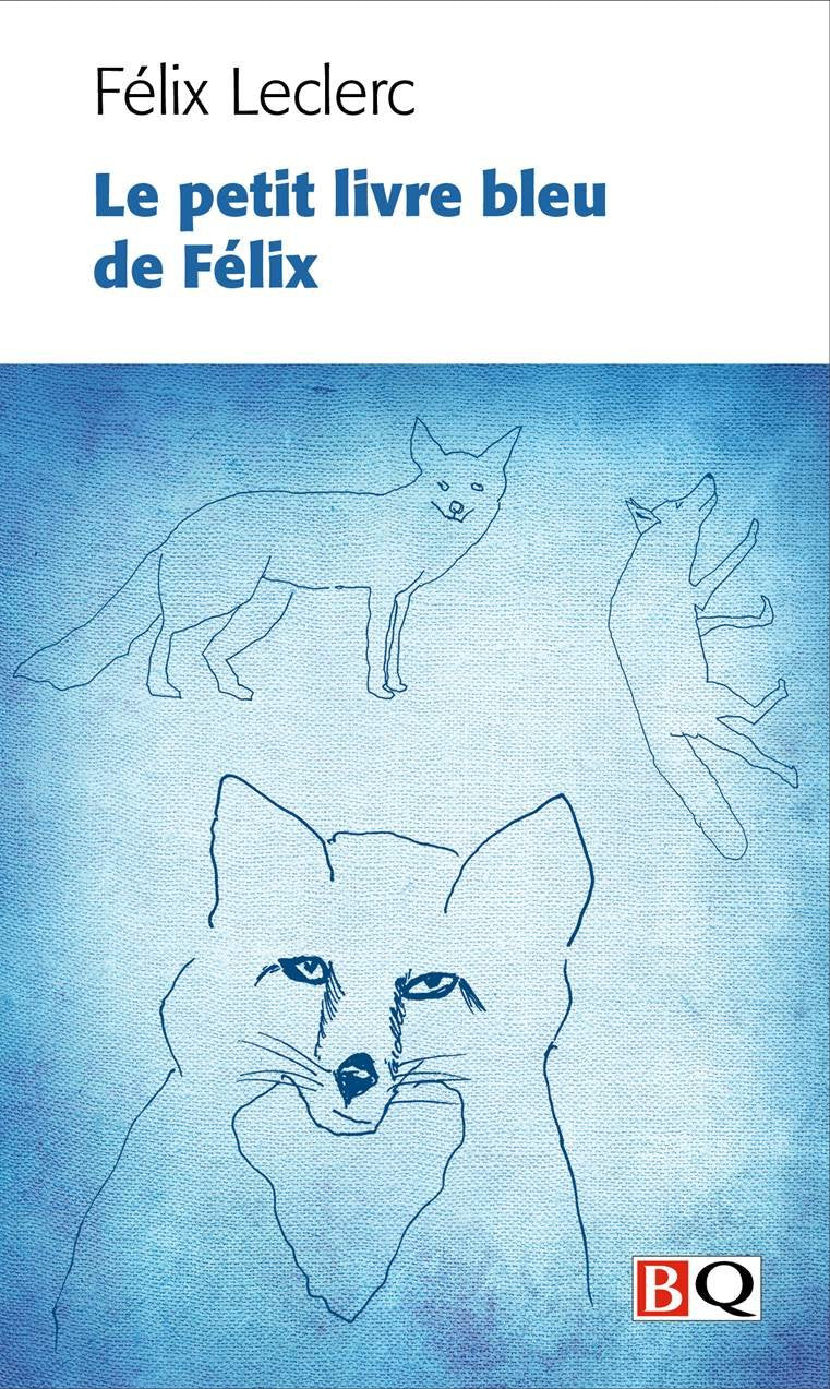 Le Petit Livre Bleu de Felix, Ou Nouveau Calepin du Meme Flaneur book