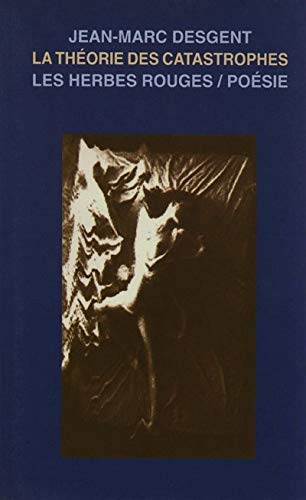 Theorie des catastrophes book
