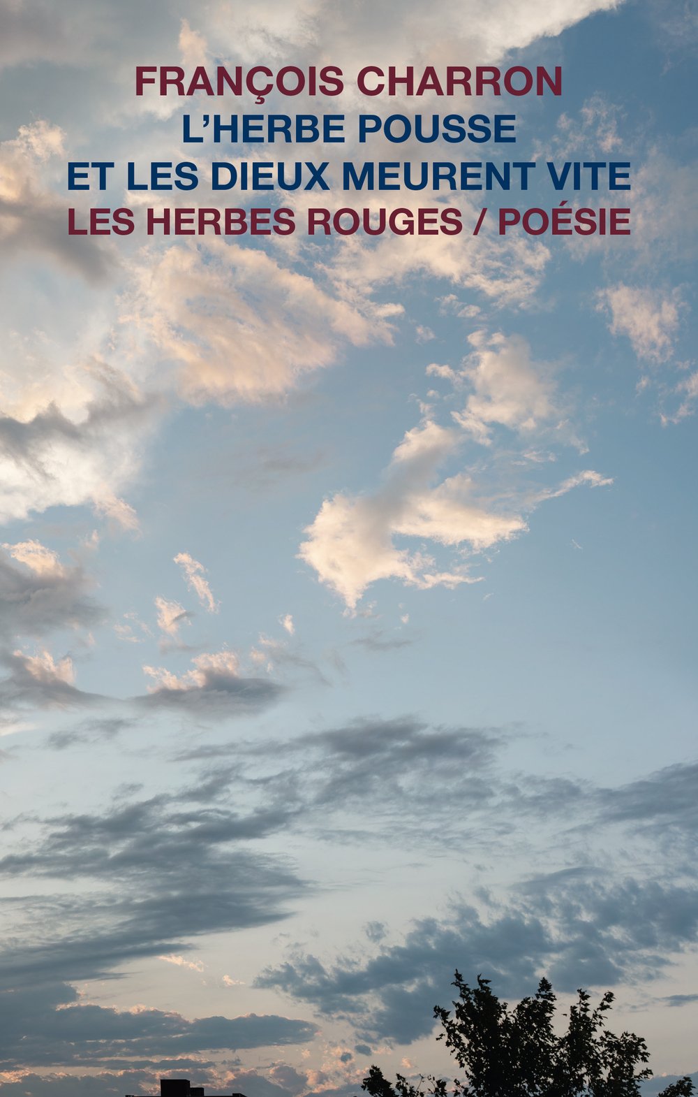 L'HERBE POUSSE ET LES DIEUX MEURENT VITE Poetry