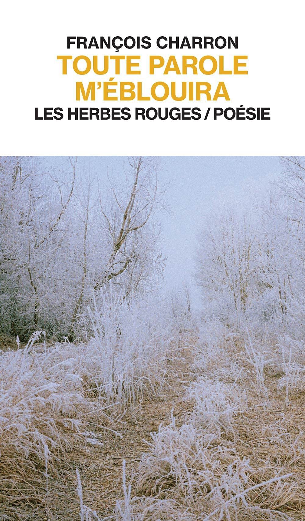 TOUTE PAROLE M'EBLOUIRA Books