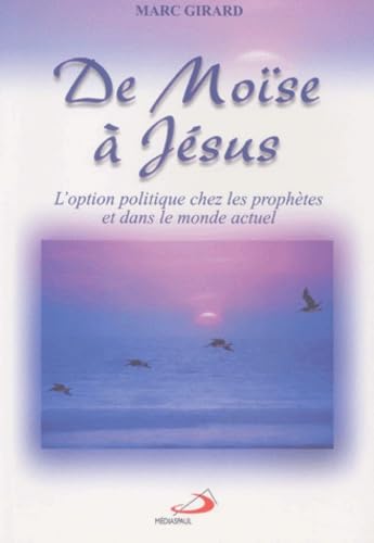 De Moïse à Jésus.: L'option politique chez les prophètes et dans le monde actuel book