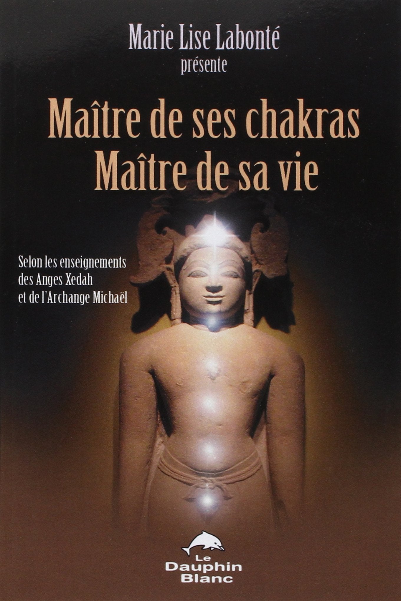 Maître de ses chakras. Maître de sa vie: Selon les enseignements des anges Xedah et de l'Archange Michael ; Transmissions de 1995 à 2000 Books
