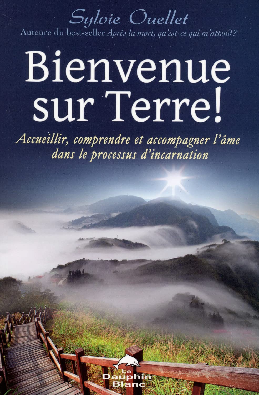 Bienvenue sur Terre ! Accueillir, comprendre et accompagner l'âme...: Accueillir, comprendre et accompagner l'âme dans les étapes de l'incarnation Religion & Esotericism