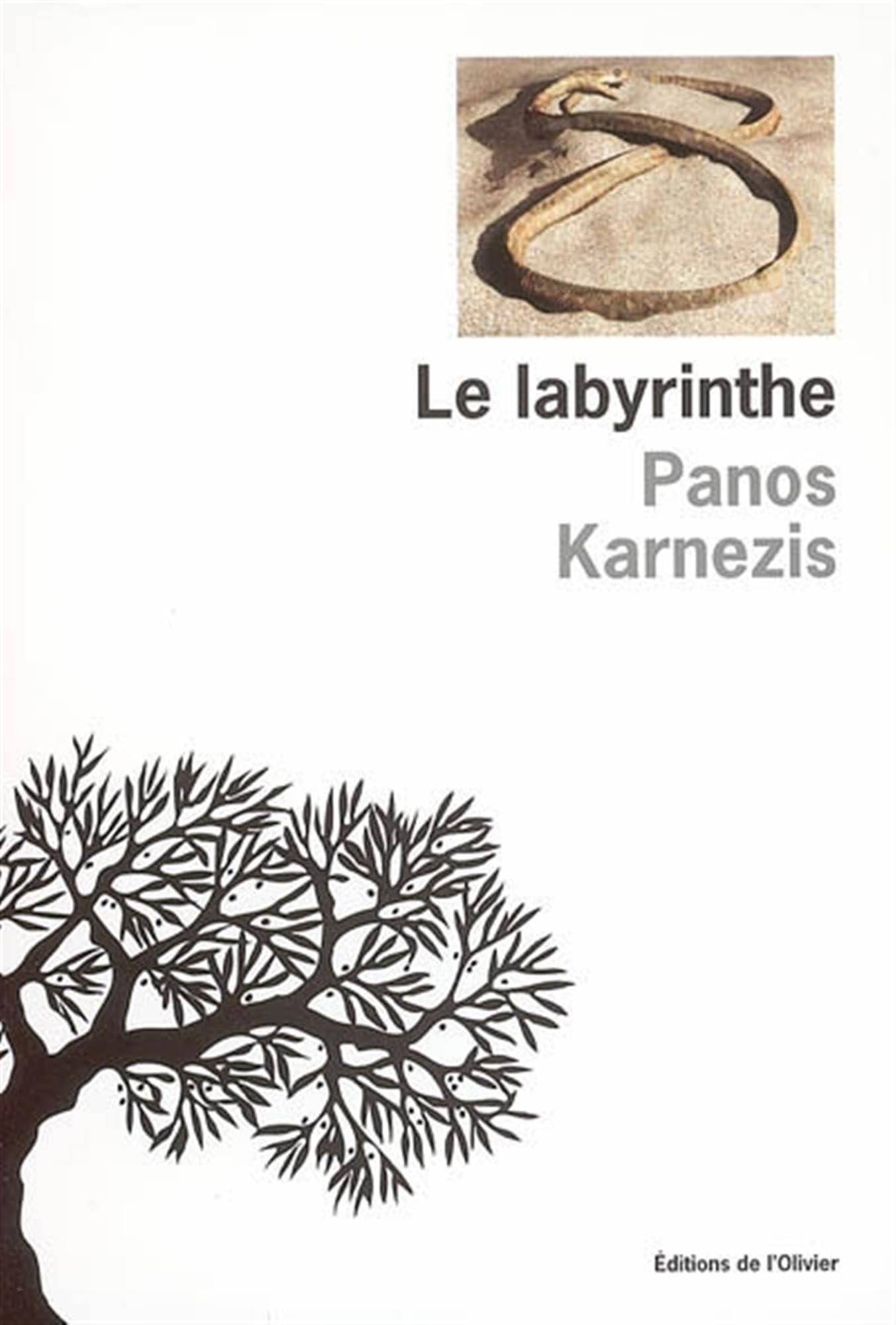 Faites exploser vos couleurs pour être pleinement vous-même et vivre une vie passionnante Books