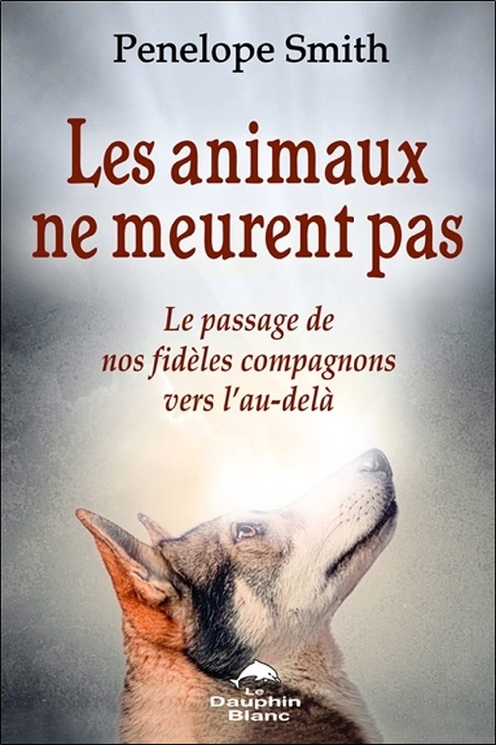 Les animaux ne meurent pas - Le passage de nos fidèles compagnons vers l'au-delà book