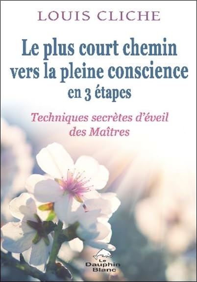 Le plus court chemin vers la pleine conscience en 3 étapes - Techniques secrètes d'éveil des Maîtres book