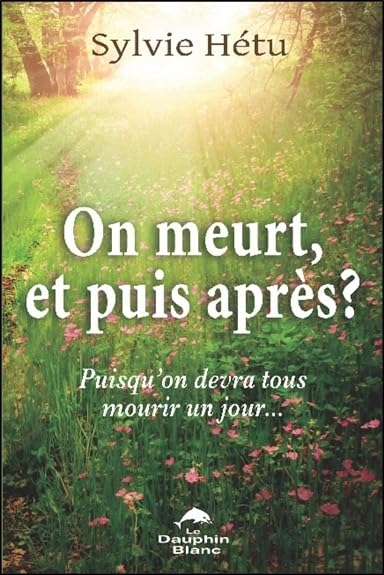 On meurt, et puis après ? Puisqu'on devra tous mourir un jour... book