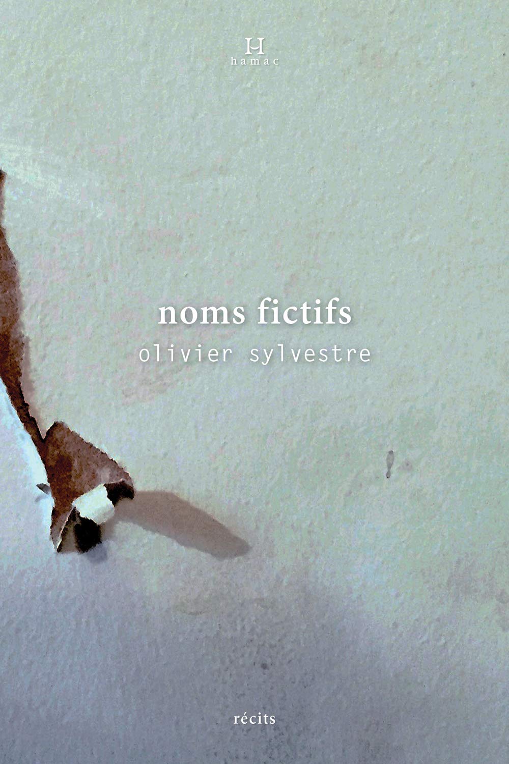 noms fictifs book