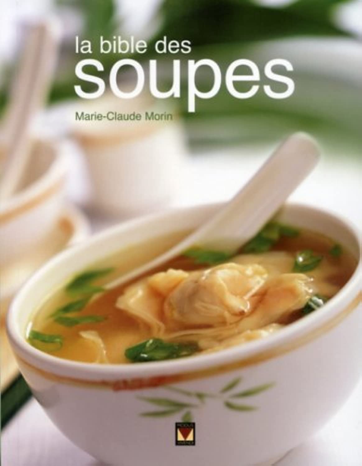 La bible des soupes book