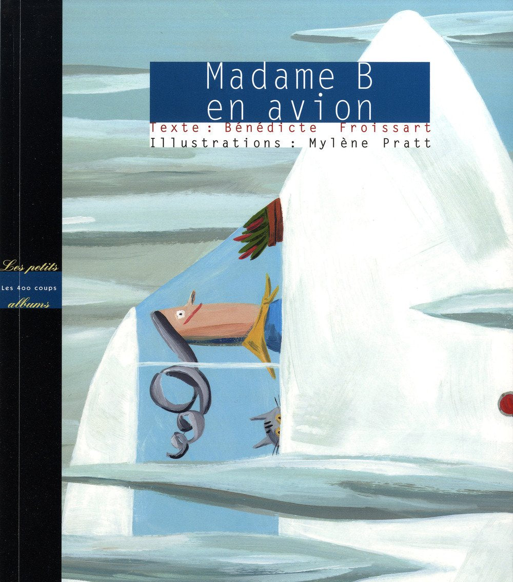 Madame B en avion book