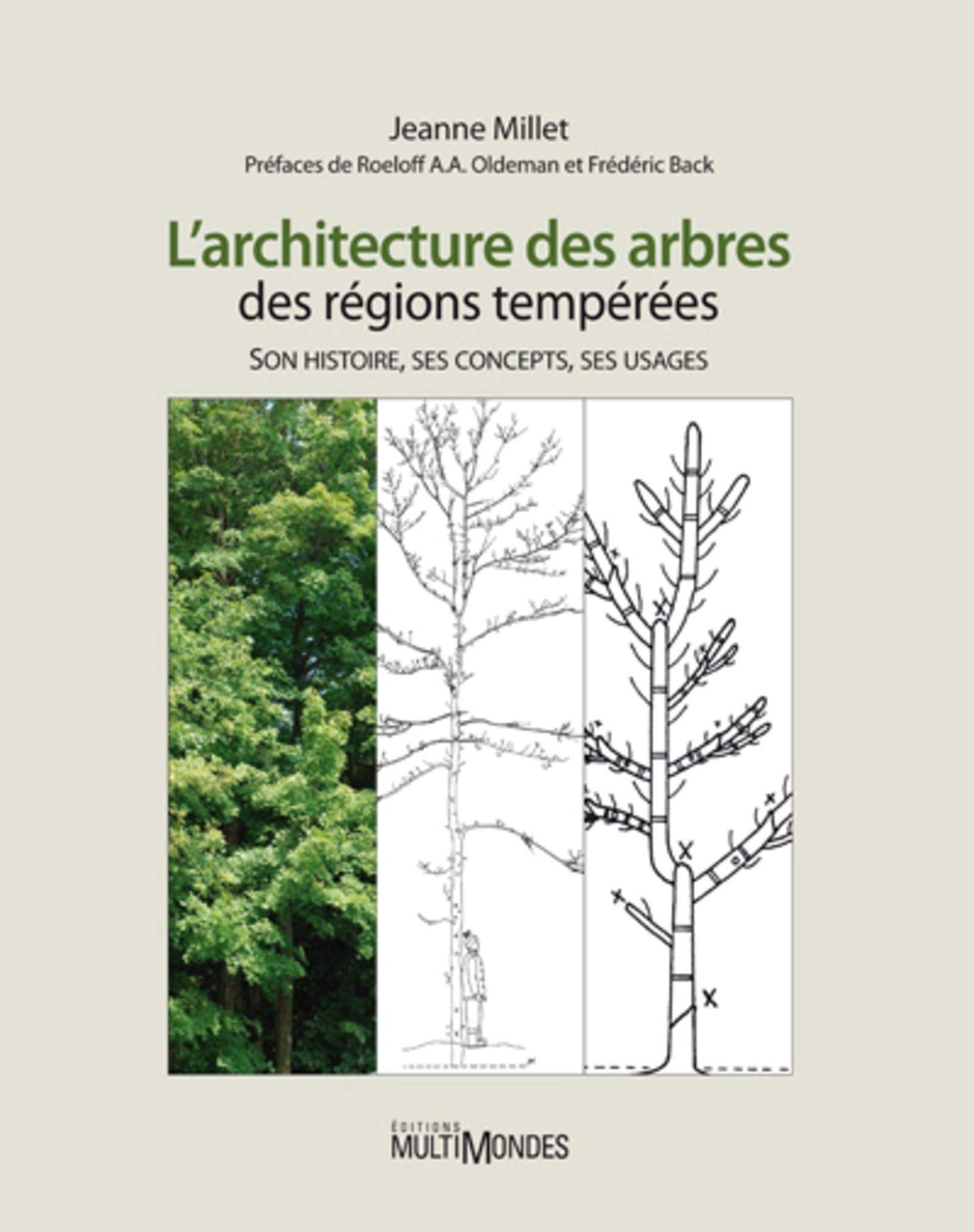 L'architecture des arbres des régions tempérées: Son histoire, ses concepts, ses usages book