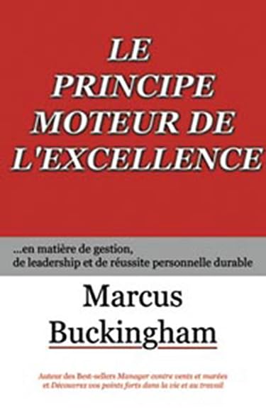Principe moteur de l'excellence: En matière de gestion, de leadership et de réussite personnelle durable Business, Finance & Career