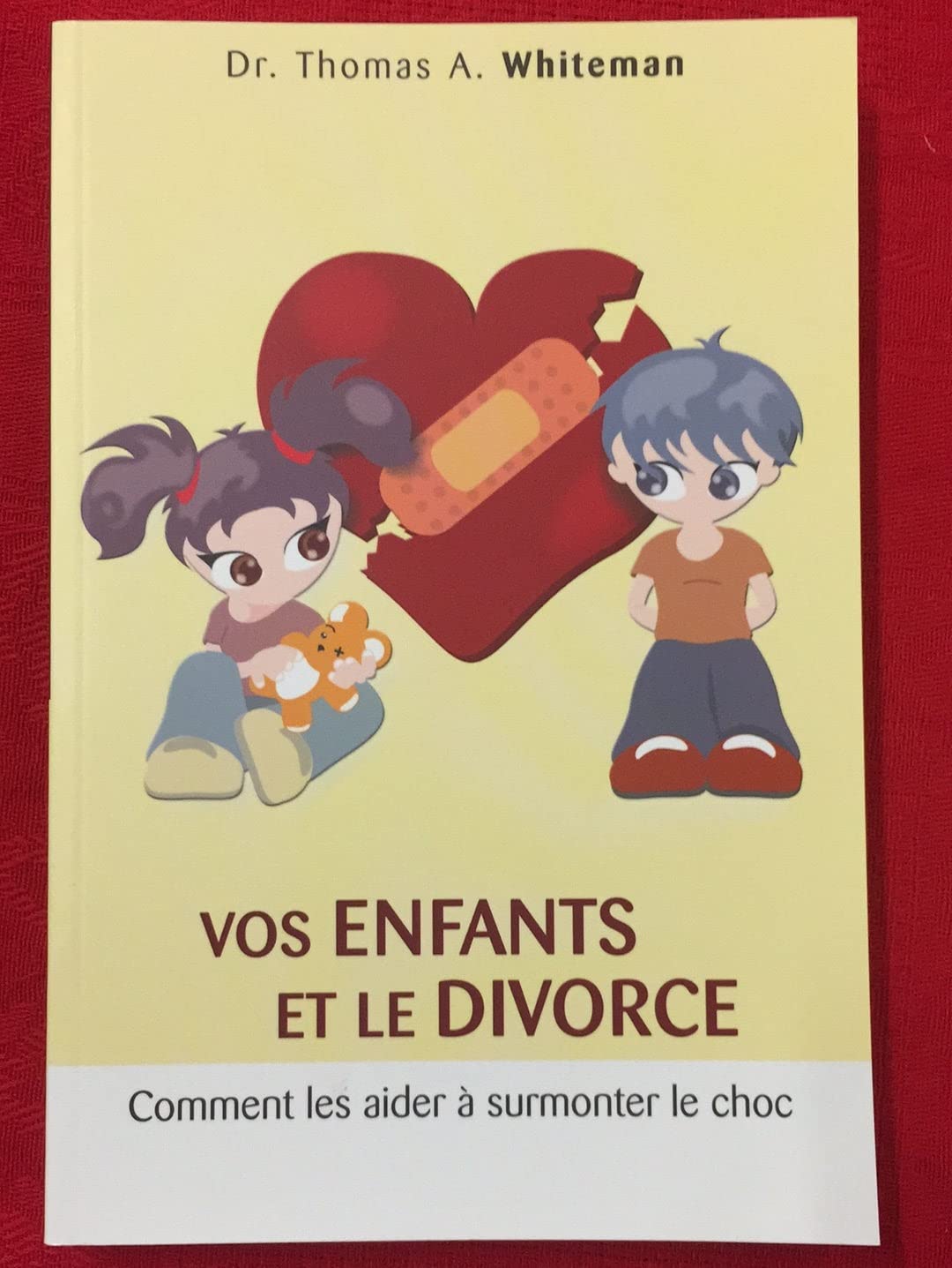 Vos enfants et le divorce comment les aider à surmonter le choc book