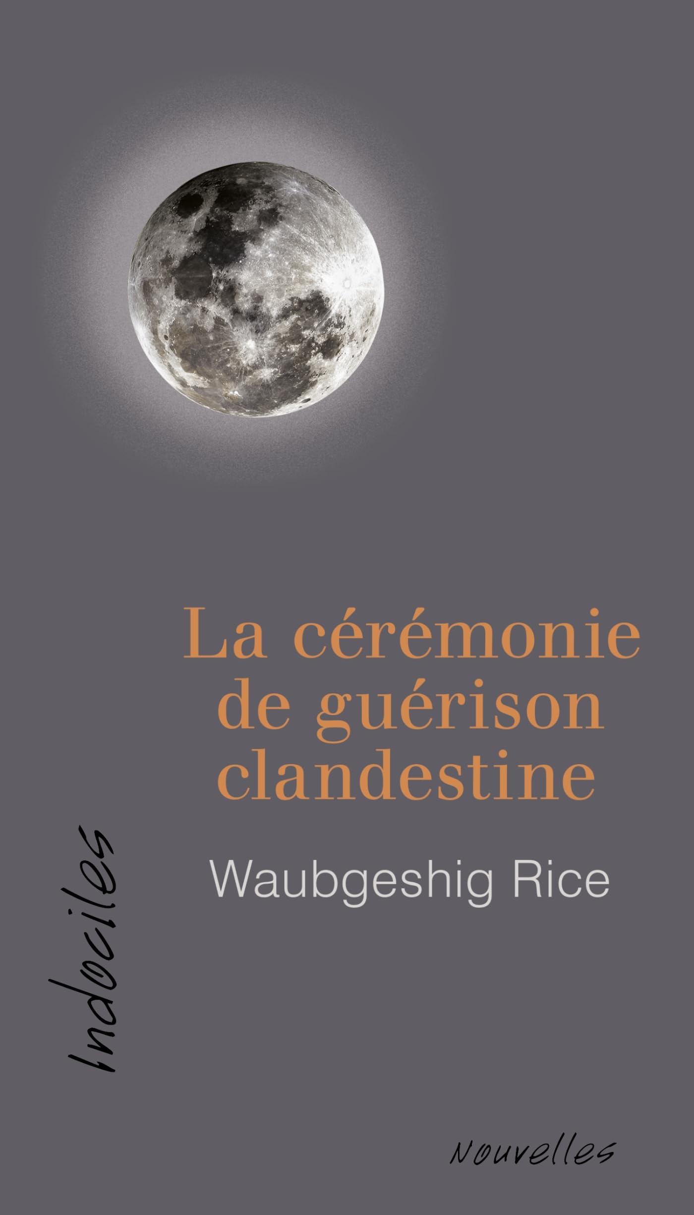 La cérémonie de guérison clandestine book