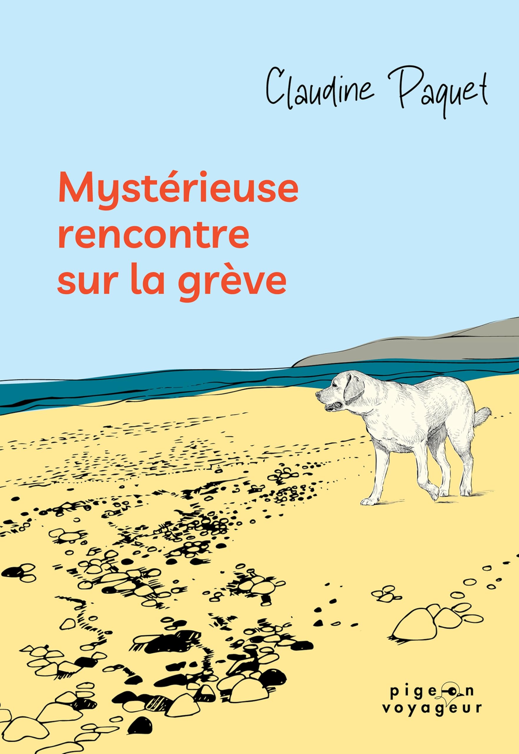 Mystérieuse rencontre sur la grève book