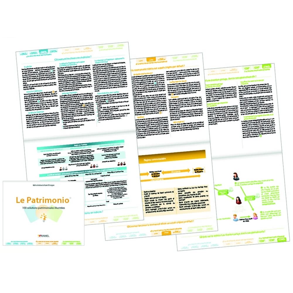 Le Patrimonio: 100 solutions patrimoniales illustrées Business & Technology