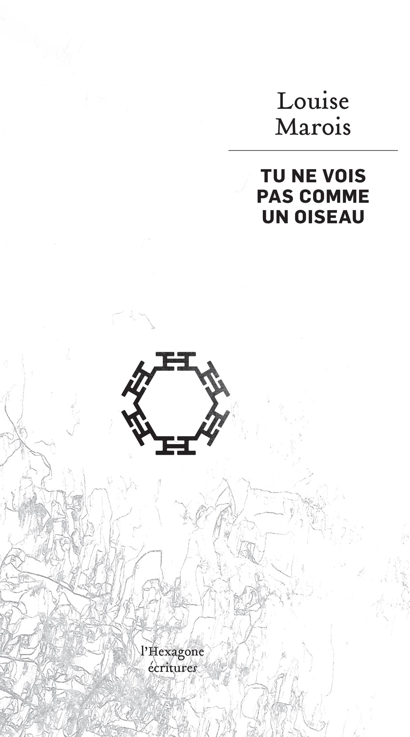 Tu ne vois pas comme un oiseau book