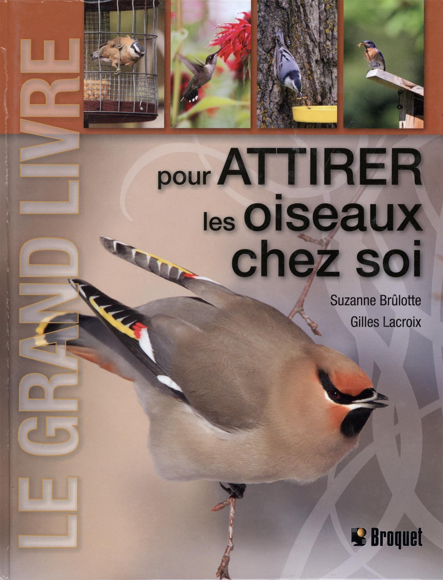 Le grand livre pour attirer les oiseaux chez soi book