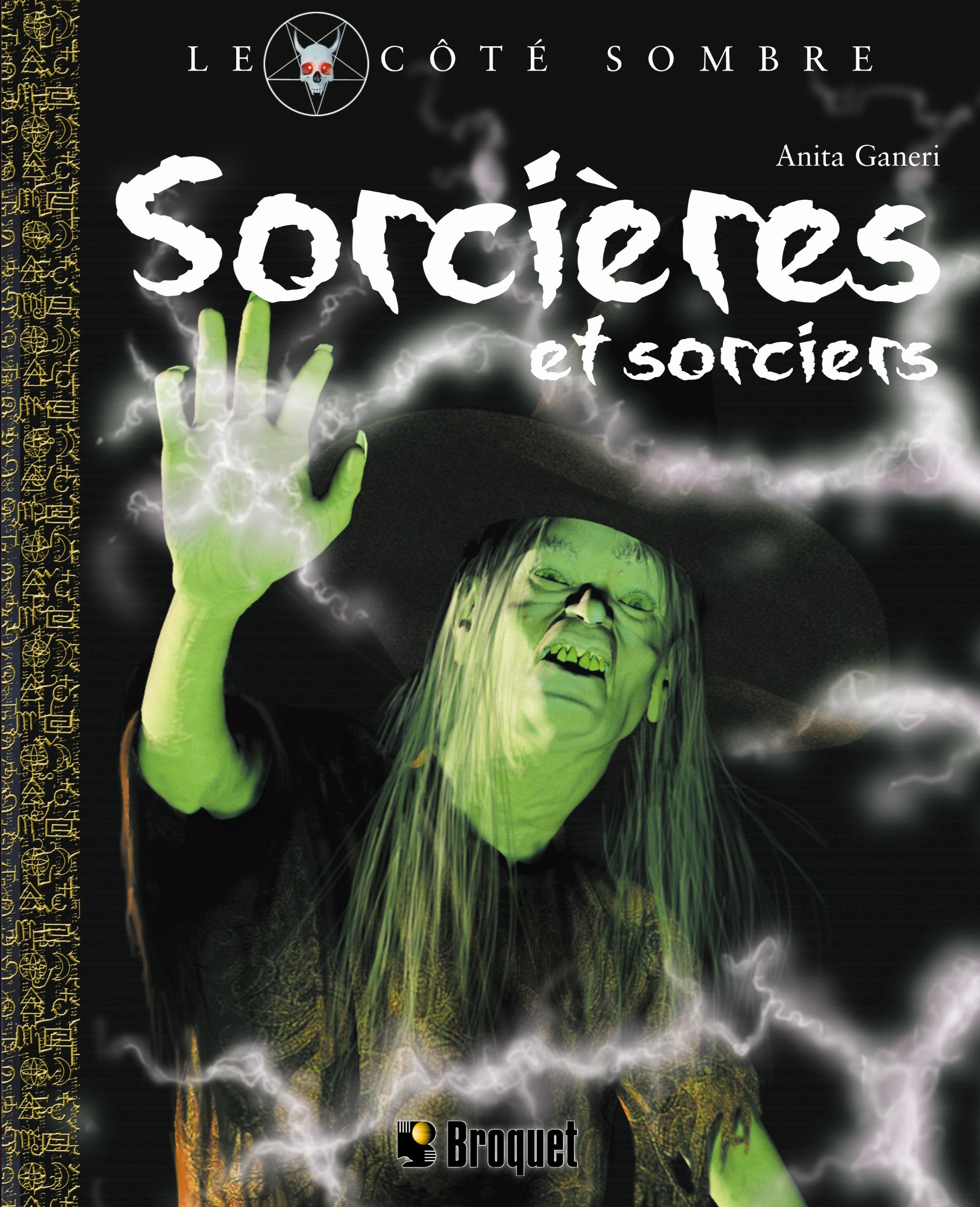 Sorcières et sorciers book
