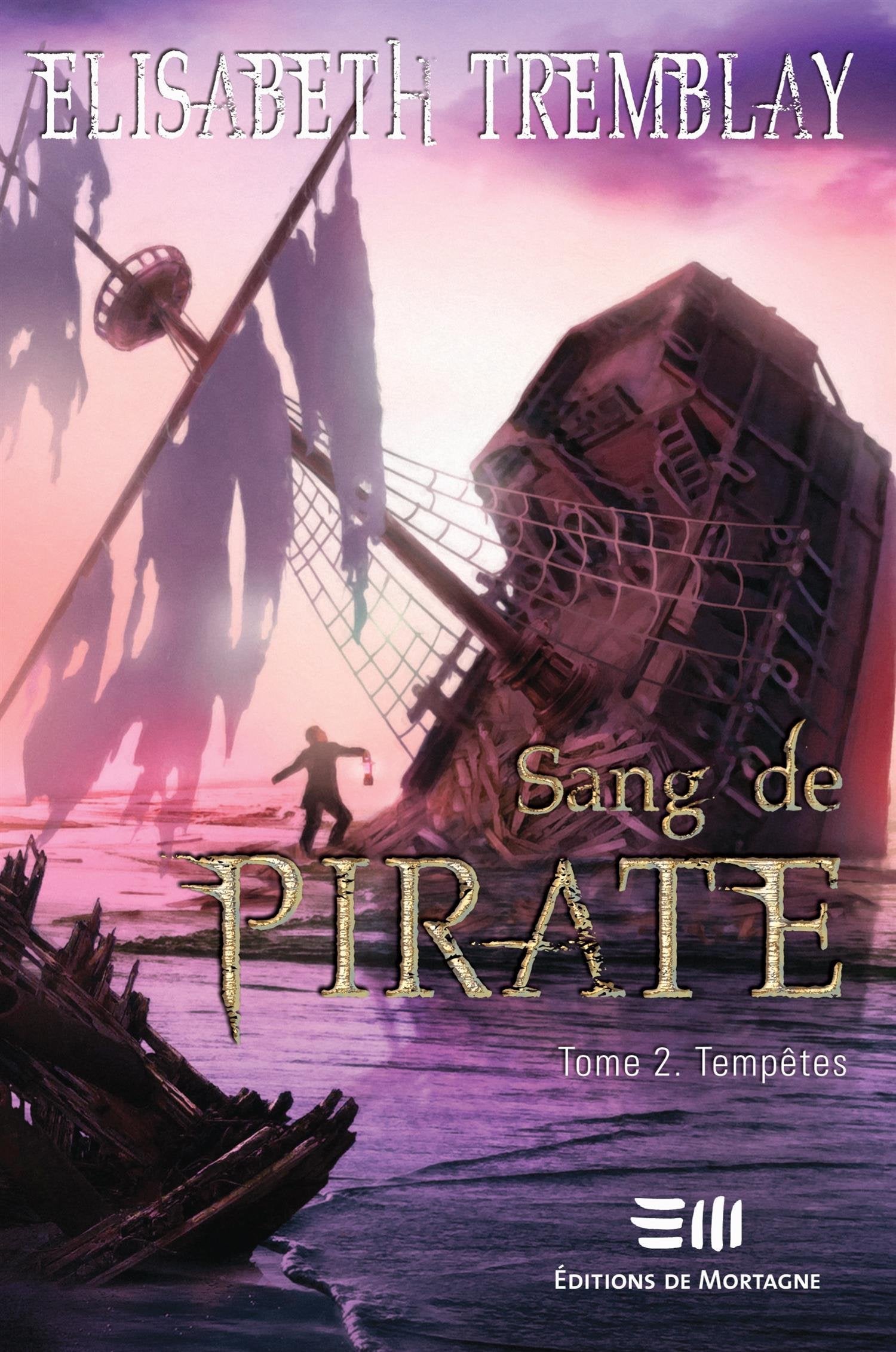 Sang de pirate - T2 : Tempêtes book