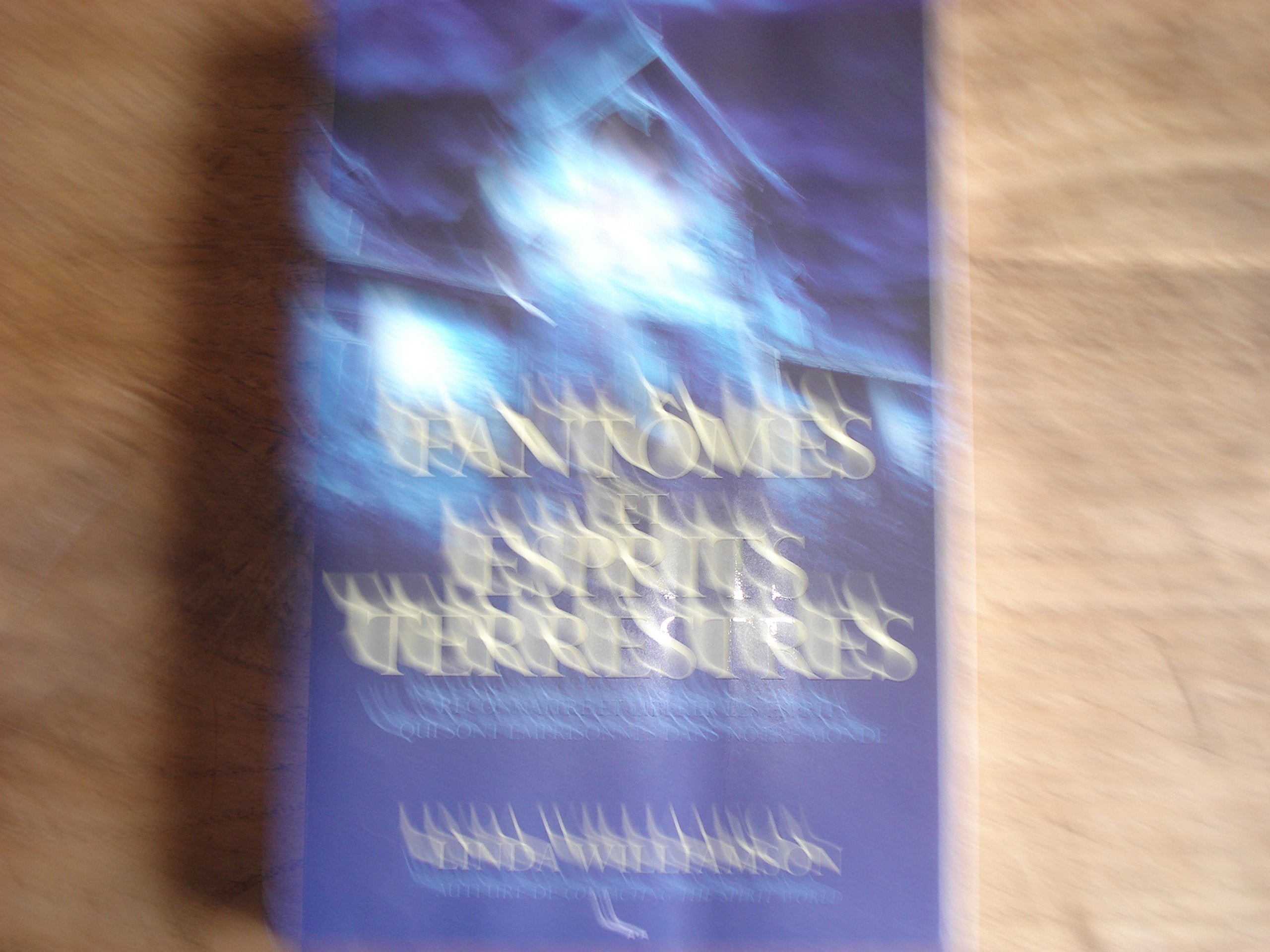 Fantômes et esprits terrestres book