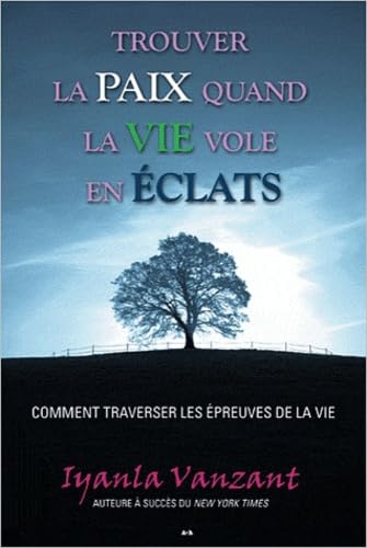 Trouver la paix quand la vie vole en éclats book
