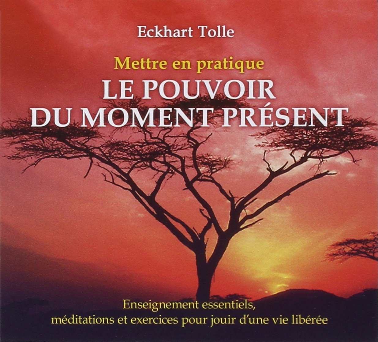 Mettre en pratique le pouvoir du moment présent - Livre audio Religion & Esotericism