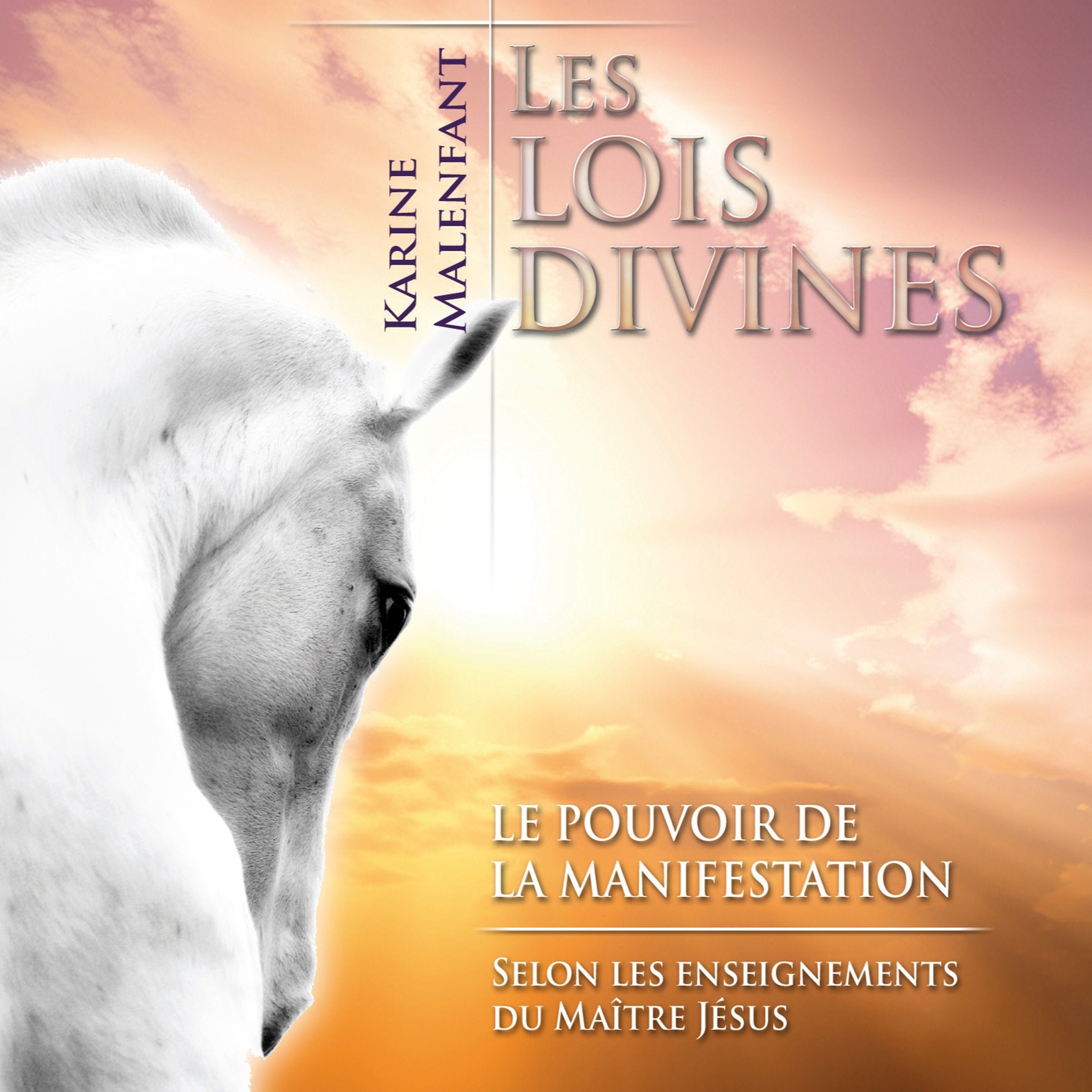 Les lois divines - Le pouvoir Books
